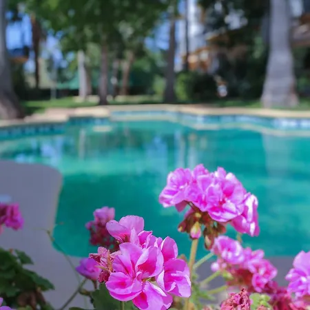 Retiro Sol - El Patio Block 3 1 * Denia